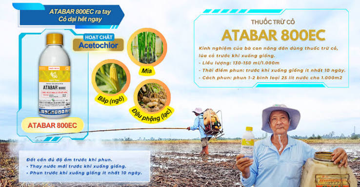 Atabar 800EC