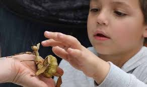 Tim Babich's Instagram, Twitter & Facebook