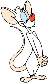 Everyone feels sorry for brain in pinky, elmyra and the brain, and for good reason; Pinky Pinky And The Brain Wiki Fandom