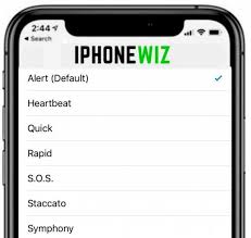 6 Things To Do When You First Get An Iphone Iphone Wiz In 2020 Find My Phone Iphone You Are The Father