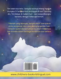 Cerita ini akurat, mudah dimengerti, dan memuat gambar yang bagus. Tidurlah Yang Nyenyak Serigala Kecil Buku Anak Anak Dengan Dwibahasa Bahasa Indonesia B Arab Www Childrens Books Bilingual Com Indonesian Edition Renz Ulrich Brinkmann Barbara 9783739902708 Amazon Com Books