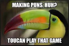 Image result for pun