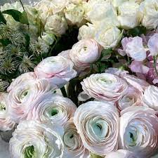 To take care of your precious moments as if they were our own. Winston Flowers 31 Central St