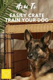 Your california driver license or california identification card number, the last four digits of your social security number and. 900 Dog Kennel Training Ideas Dog Kennel Kennel Dogs