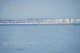 Fata Morgana mirage, Nunavut, Canada | Stock Image - Science Source Images
