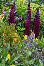 Pin By Lyndsey Coleman On Outdoors And Gardens Flower Show Chelsea Flower Show Chelsea Flower