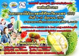 เทศกาลผลไม และของด จ งหว ดระยอง 2559