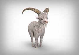 Goat Low Poly 3d Model Low Poly 3d Models 3d Model Low Poly 3d
