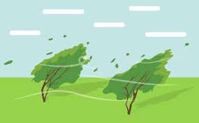 Tema 6 kelas 3 halaman 115. Ini Bahasan Tema 6 Kelas 3 Halaman 115 116 Tentang Energi Alternatif Portal Purwokerto