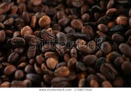 Find Roasted Coffee Beans Background Coffee North Stock Images In Hd And Millions Of Other Royalty Free Stock Photos Illustrations And Vectors In The Shutterst