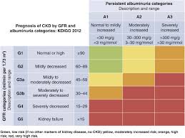 Kdigo 2020 Clinical Practice Guideline For Diabetes Management In Chronic Kidney Disease Kidney International
