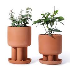 Potey 053901 Terracotta Succulent Planter Pots Set Of 2 4 5 Inch Small Clay Flower Pots With Saucer For P In 2020 Terracotta Plant Pots Planter Pots Clay Flower Pots