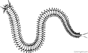 Get your colored pencils and start coloring funny school picture right now!try to color funny school to some extraordinary! Ragworm Also Called Clam Worm Coloring Page Coloringall