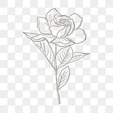 Pin On Procreate Reference