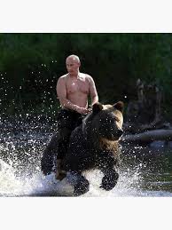 Famous putin riding bear figure путин gift russia president unique gift present souvenir uniqueideazz $ 34.00 free shipping add to favorites. Bear Meme Canvas Prints Redbubble
