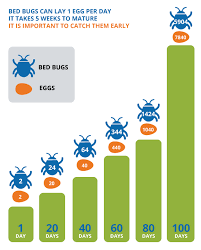Southern nevada pest control services. Bed Bug Exterminators In Las Vegas Affordable Bed Bug Pest Control