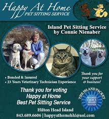 If your pet gets sick. Hilton Head Island Sc
