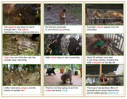 They are mostly found in the desert area. Machine Learning Datasets Papers With Code