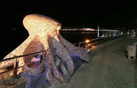 Recorrido en bici por el Paseo Marítimo ...