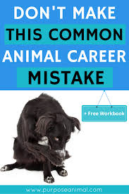 Avoid This Common Animal Career Mistake Work With Animals Pet Businesses Career