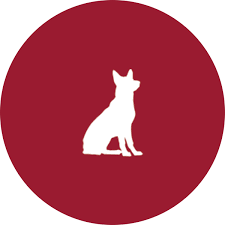 Considering a raw dog food diet for your pet? Healthy Dog Food Brands Redpaw Dogs First Redpaw Dog Food