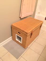 This Hidden Litter Box Is The Perfect Solution For Cat Lovers Who Live In Small Spaces Hidden Litter Boxes Litter Box Cat Box