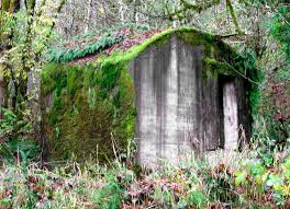 Bordeaux Washington The Fern Covered Vault Used To Be In The Company Store Protecting The Payroll That The Loggers And M Ghost Towns Pacific Northwest Ghost
