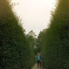 Biaya masuk taman labirin cempaka#spf=1607716768190 biaya masuk taman labirin cempak… Labirin Coban Rondo Cara Bermain Tiket Masuk Dan Lokasi