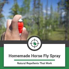 homemade horse fly spray natural diy