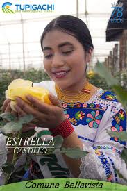 GAD Parroquial Tupigachi