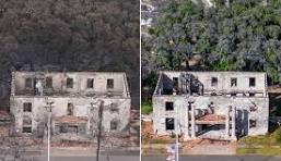151-Year-Old Banyan Tree Scorched by Maui Wildfires Is ...