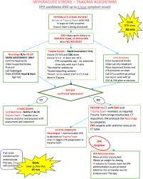 Rehabilitation program cerebrovascular pathology is one of the most complicated and. Red Deer Community Hospital S Algorithm For Acute Ischaemic Stroke Download Scientific Diagram