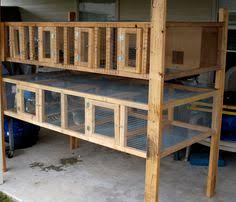 363 resep burung puyuh ala rumahan yang mudah dan enak dari komunitas memasak terbesar dunia! Idea Bina Reban Puyuh Cikgu Suffi Cs