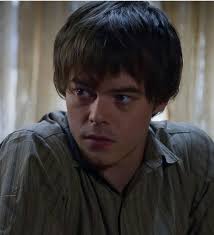 Chi è qui nel team Jonathan? (Per favore, non litigate con me se siete nel  team Steve, ognuno ha le sue opinioni, voglio solo sapere a quanti  piacciono di più Jonathan.) :