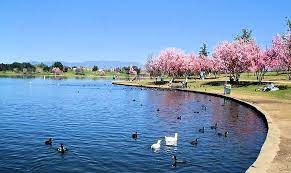 Lake Balboa Los Angeles Ca Lake Balboa Los Angeles Parks La Trip