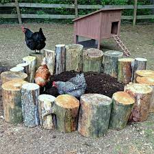 10 Toys For Your Backyard Chickens The Owner Builder Network Chicken Barn Pet Chickens Chickens Backyard