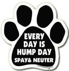 Great spay and neuter slogan ideas inc list of the top sayings, phrases, taglines & names with picture examples. 15 Spay And Neuter Quotes Ideas Neuter Spay Animal Rescue