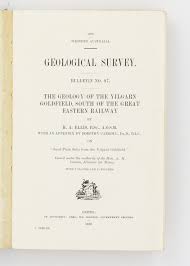 Geology of the Yilgarn Goldfield ...