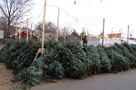 Maybe you would like to learn more about one of these? Where To Buy A Christmas Tree In Arlington Arlnow Com