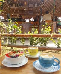 Call 04 227 7888 get directions whatsapp 04 227 7888 message 04 227 7888 contact us find table make appointment place order view menu. Discover The Best Coffee Shops With Internet In Gili Trawangan