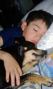 Pawsitively Furever Dog Rescue to be at Petco in Hackensack