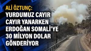 Somali'ye 100 milyon dolarlık yatırım ekonomi bakanı mustafa elitaş, türk girişimcileri somali'ye yatırım yapmaları konusunda teşvik ettiklerini belirterek, türkiye'nin burada hali. Hto Iipp Htbqm