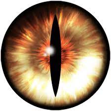 500 Best Eyes Lense Png Full Hd Transparent Images Light Background Images Eyes Eye Art
