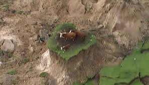 Image result for KAIKOURA EARTHQUAKE