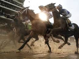 Daily racing form handicapper mike beer's picks and analysis for the 146th preakness stakes. Preakness Stakes 2018 How To Bet Every Horse In The Field