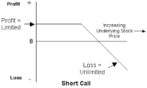 Equity Calls Puts