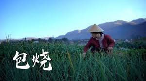 芭蕉叶烹饪的云南菜 包烧 滇西小哥 youtube banana leaf yunnan vietnamese