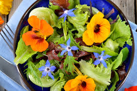 Maybe you would like to learn more about one of these? How To Use Beautiful Edible Flowers From Your Garden
