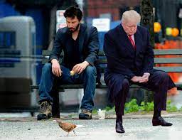 Sad Keanu With Sadder Trump Sad Keanu Know Your Meme