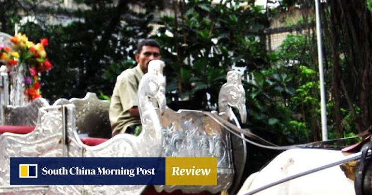 Bombay High Court bans Mumbai's 'cruel and dangerous' horse-drawn carriages | South China Morning Post